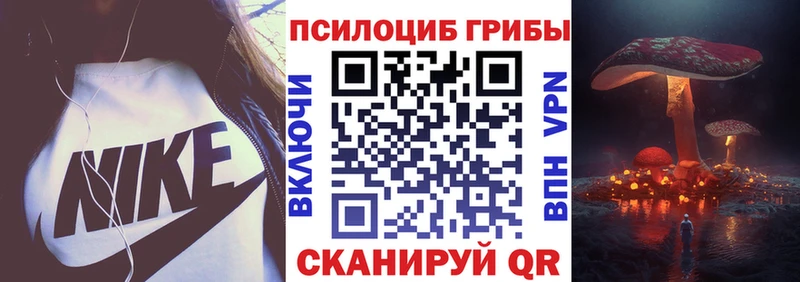 где можно купить   Арск  Псилоцибиновые грибы Psilocybe 